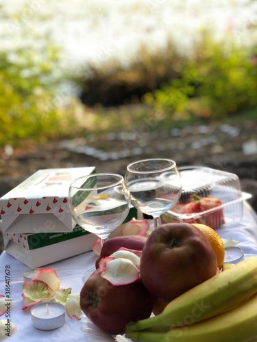 picnic in the garden