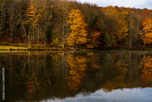 Fototapeta Naklejka Na Ścianę i Meble -  autumn trees reflected in water