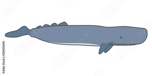 Cute Sperm whale cartoon character, Vector illustration of a Whale.	