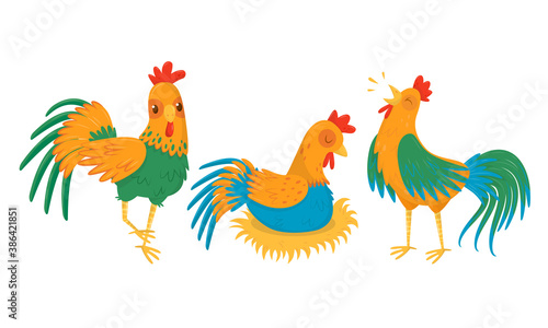 Hen Sitting on Eggs and Walking in the Yard Vector Set