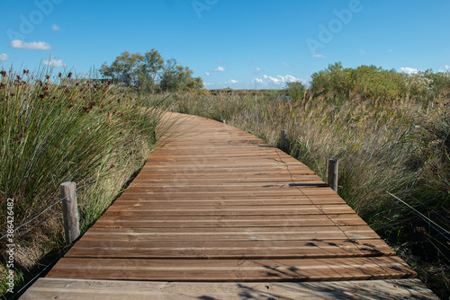 Etangs de Villepey ST-AGULF Var (83)