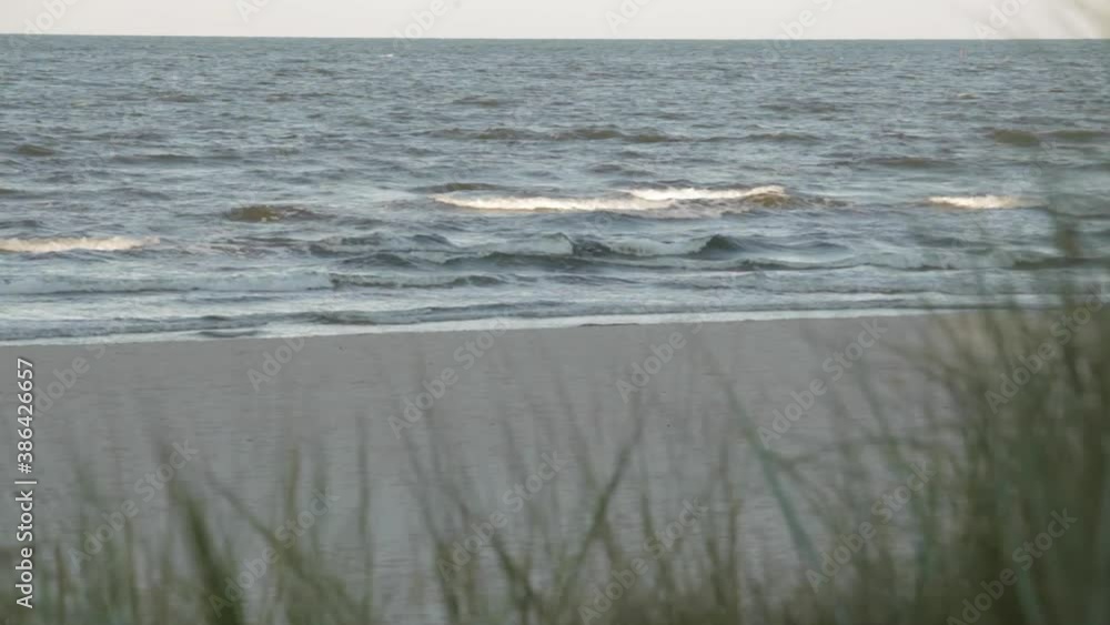 Gentle Waves hitting Beach, Wind blows in the Reed Gentle Waves hitting Beach, Wind blows in the Reed