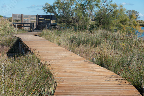 Etangs de Villepey ST-AGULF Var (83)