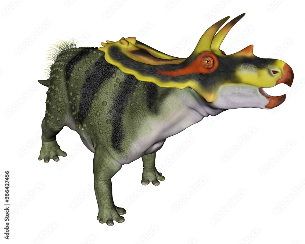 Fototapeta premium Anchiceratops dinosaur isolated in white background - 3D render