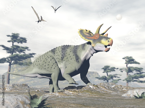 Anchiceratops dinosaur walk in the nature by grey day - 3D render