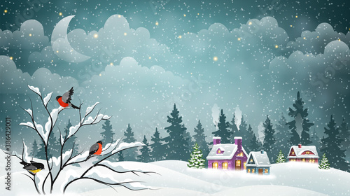 Rural winter landscape