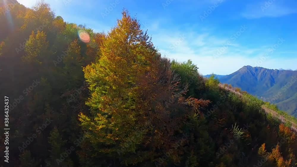 POV timelapse walk on a rope lift in the mountains in the fall. Beautiful golden forest in the alps against the background of the blue sky POV timelapse walk on a rope lift in the mountains in the fall. Beautiful golden forest in the alps against the background of the blue sky