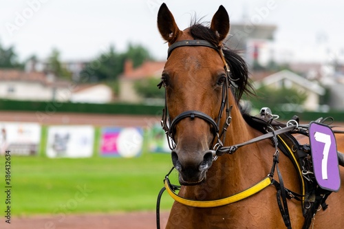 horse racing hippodrome of feurs © NAEPHOTO