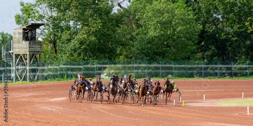 Bilde på lerret horse racing hippodrome of feurs