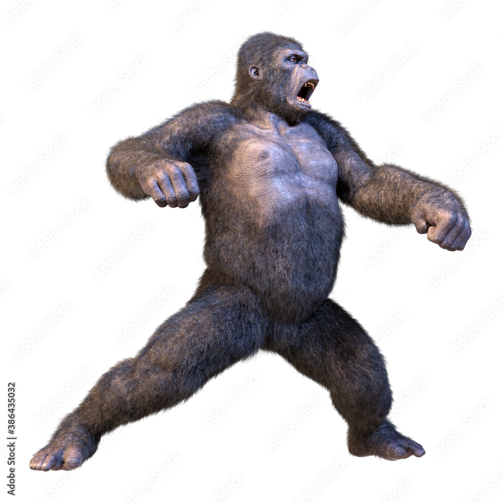 3D Rendering Gorilla Ape on White 3D Rendering Gorilla Ape on White