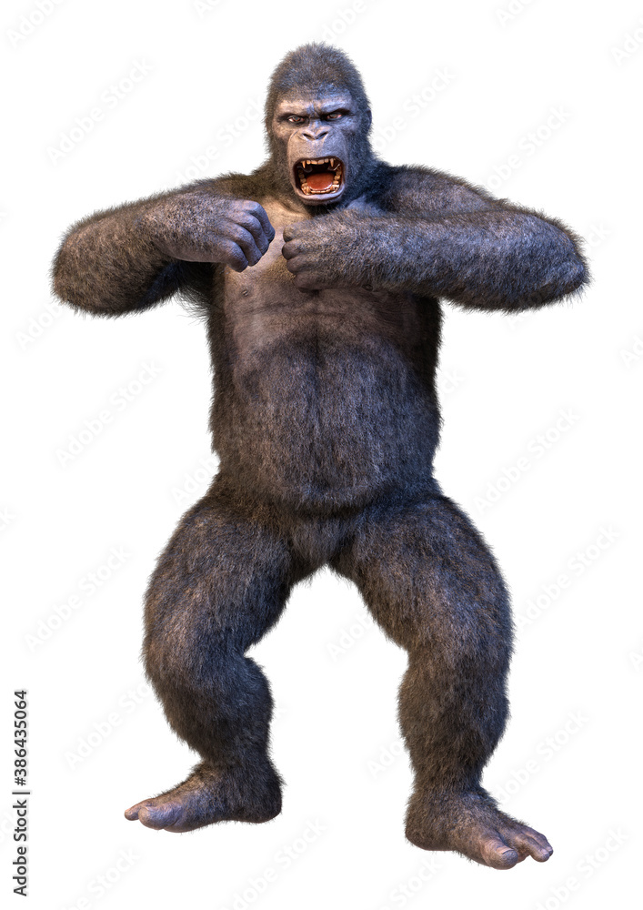 3D Rendering Gorilla Ape on White 3D Rendering Gorilla Ape on White
