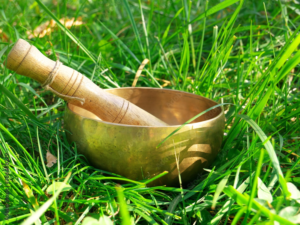 Singing bowl placed in the green and fresh grass