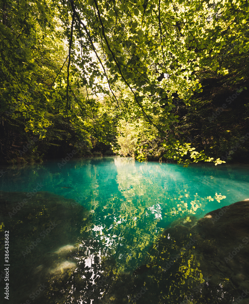 Obraz premium River and forest