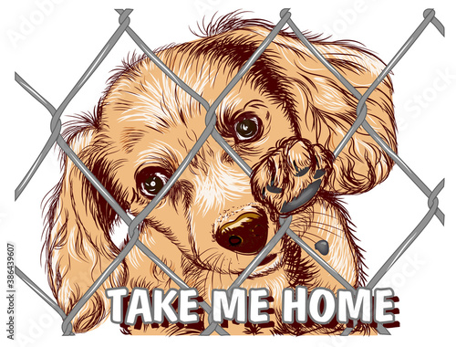 Dog in a cage. Cute dog and the inscription " take me home!". Concept for a shelter or veterinary clinic, pet store.