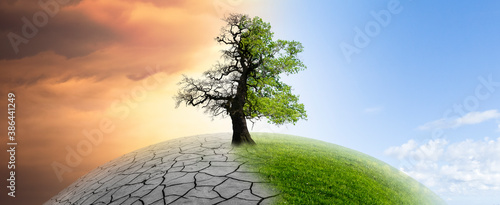 Baum auf einer Weltkugel im Klimawandel
