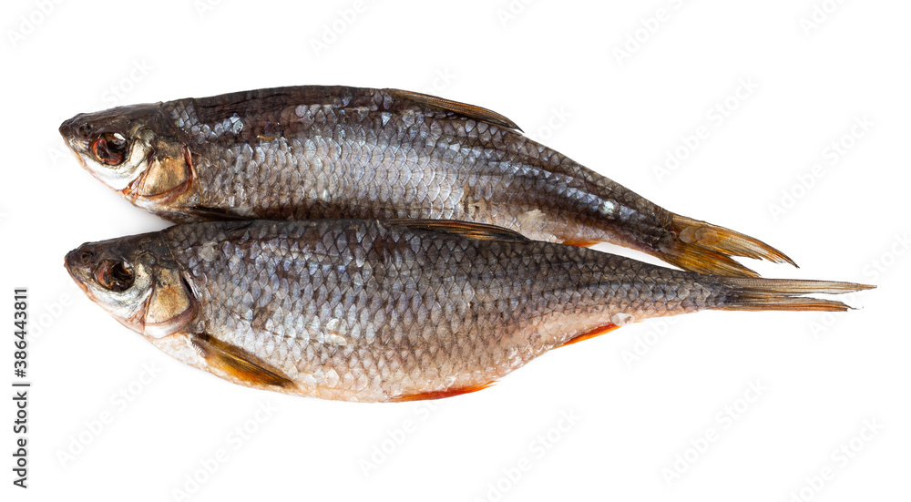 Two dried roaches isolated on white background. Two dried roaches isolated on white background.
