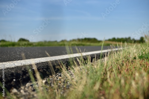 road through the field
