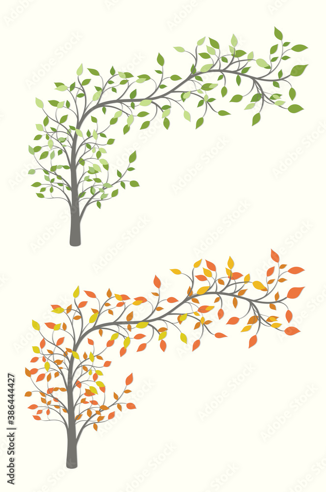 Curved tree with leaves in two versions summer and autumn