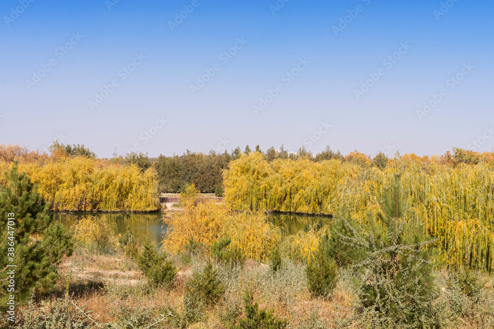 Autumn landscape. Lake in the park in autumn. Reflections in the water. Autumn trees and plants. Lake. Gold autumn. Yellow, orange, red, brown, green leaves. Blue sky Autumn landscape. Lake in the park in autumn. Reflections in the water. Autumn trees and plants. Lake. Gold autumn. Yellow, orange, red, brown, green leaves. Blue sky