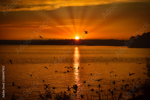 Wunderschöner Sonnenuntergang  mit Möven im Vordergrund