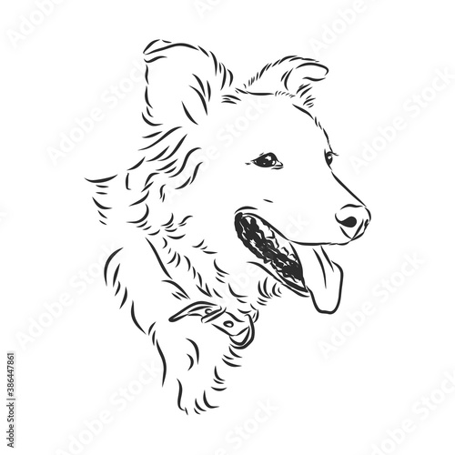 The old poor mangy dog look sad and lonely., mongrel, abandoned dog, vector sketch illustration