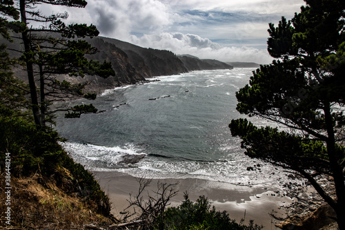 rocky coastline with waves and trees