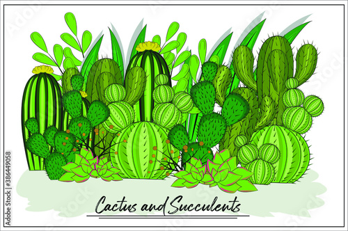 Green Cactus and Succulents