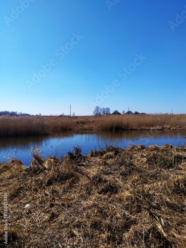 landscape of the river