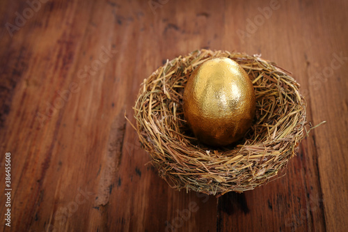 golden egg in nest. Concept of investments, savings and pensions