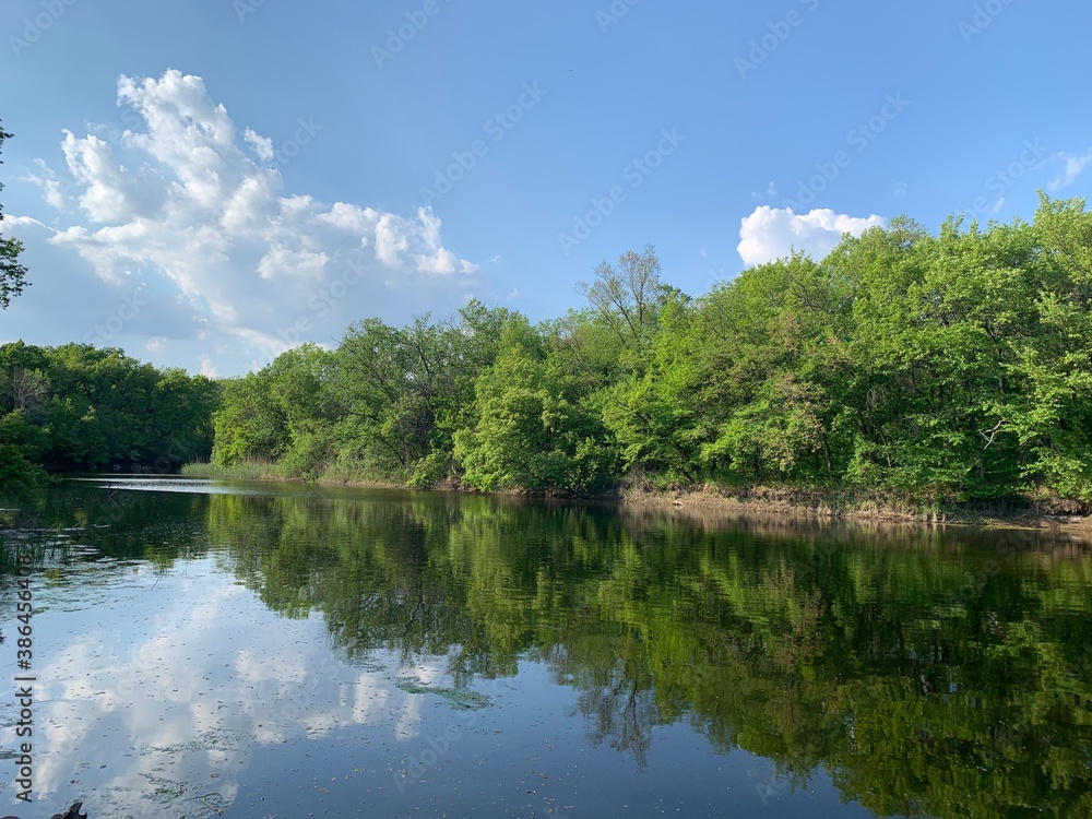 Fototapeta premium lake in the park