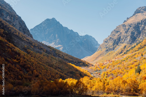 Rocky mountains and autumnal forest. Mountain landscape