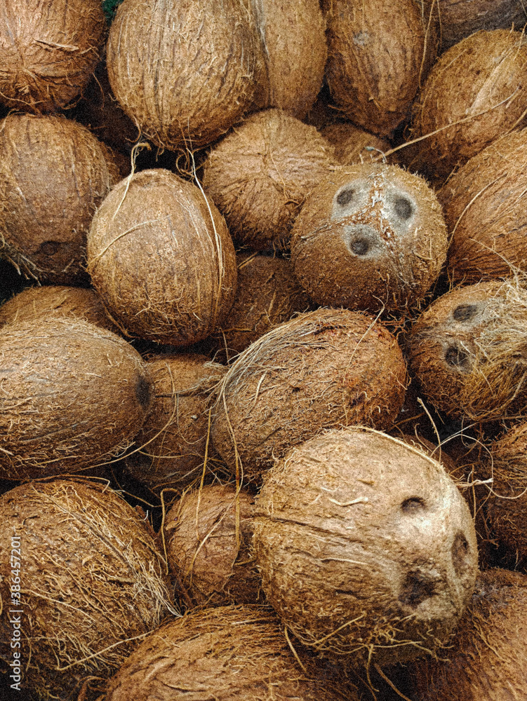 coconut on the beach coconut on the beach