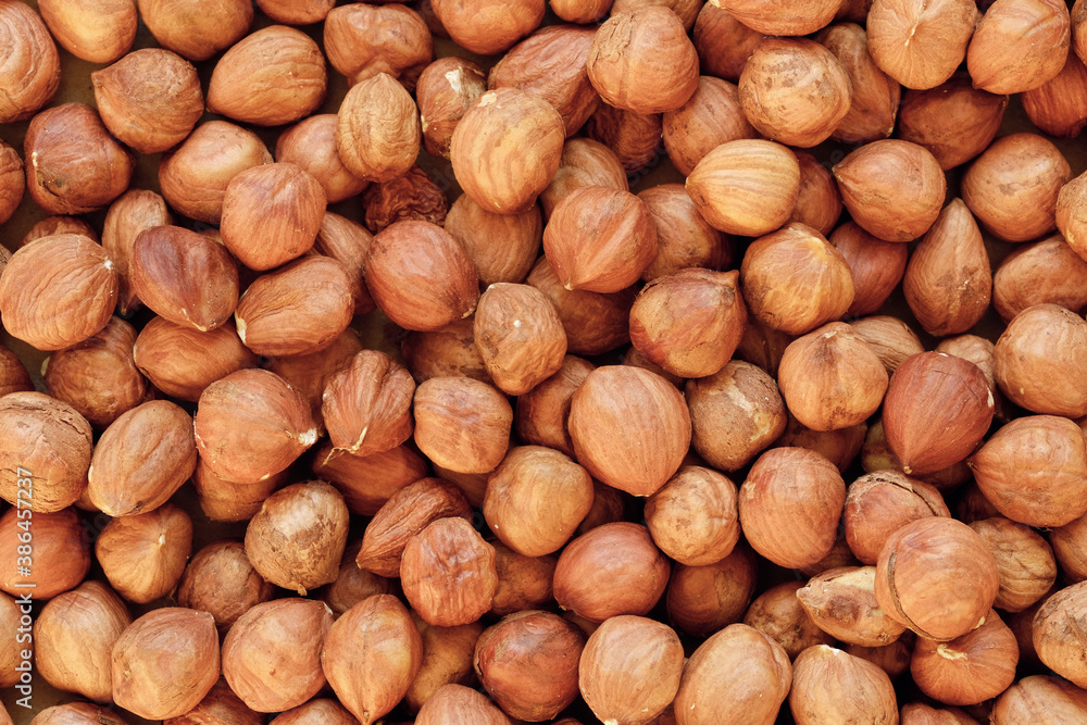 Macro shot of many peeled Hazelnuts. Concept of autumn harvesting. Natural and organic food full of vitamins. Seasonal vegetarian nutrition. Macro shot of many peeled Hazelnuts. Concept of autumn harvesting. Natural and organic food full of vitamins. Seasonal vegetarian nutrition.