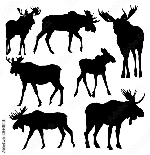 set of moose vector illustration