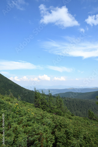 Carpathian mountains  green and flowering mountain tops. Clear sky with sun and white clouds