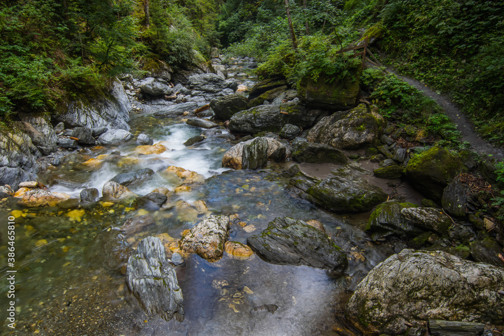 clear mountain torrent with hiking trail in the forest clear mountain torrent with hiking trail in the forest