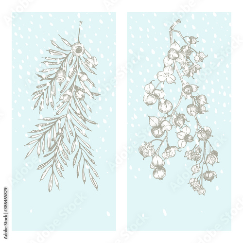 Photography Set christmas new year card with yew tree and oriental bittersweet Winter plants isolated on blue snow backgroundEngraving style