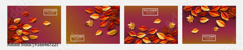 Vector set of template autumn background decorate with fall leaves and space. Autumn luxury template for shopping sale promotion, poster, leaflet, web banner, greeting card and festival invitation.