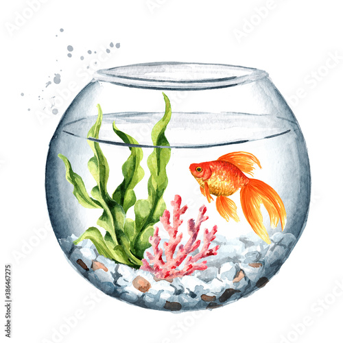Goldfish swimming in a well-maintained aquarium with algae and corals. Watercolor hand drawn illustration isolated on white background