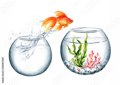 Goldfish. Gold fish jumping out of the water from the small round glass aquarium in the big one. Watercolor hand drawn illustration isolated on white background