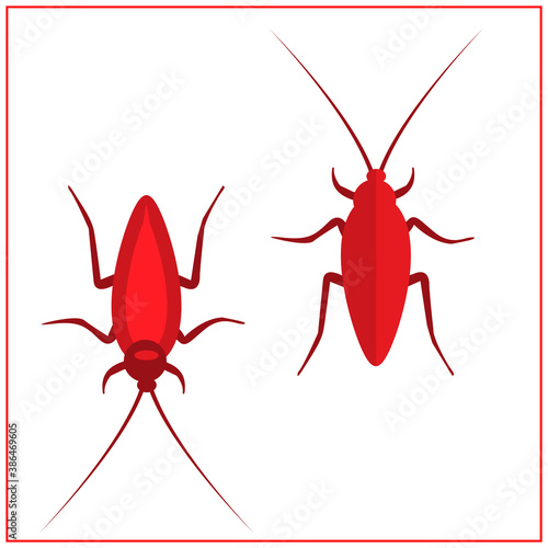 Cockroach insect icons set, Vector Illustration. Red Cockroach.