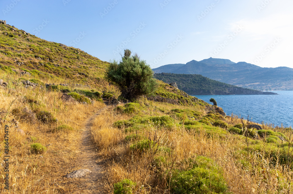 Scenic seashore on one of greek islands