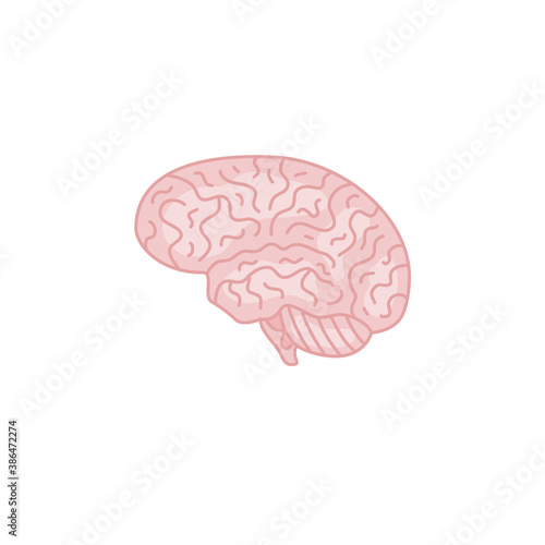 Human brain diagram. Vector illustration.