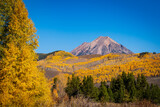 Autumn Crested Butte