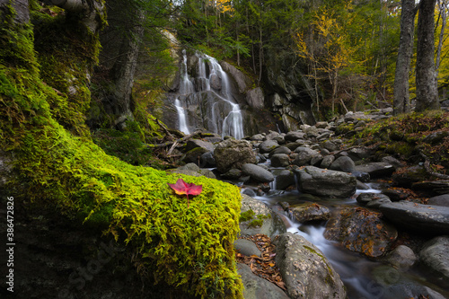 Fototapeta Naklejka Na Ścianę i Meble -  Red leaf on green moss with Moss Glen Falls in the background in Vermont 