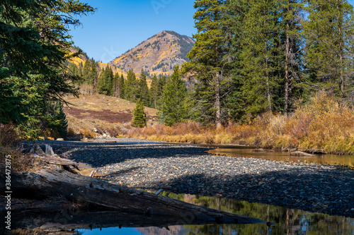 Mountain Stream Crested Butte