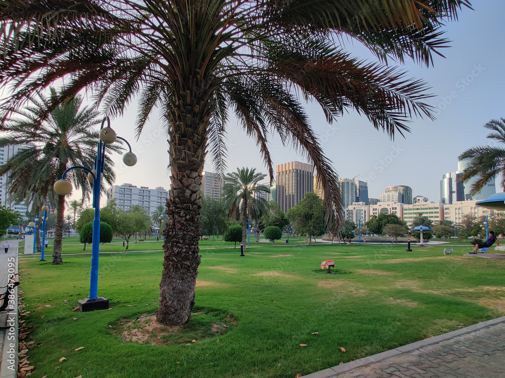 Famous Abu Dhabi city corniche park, UAE - beautiful modern park scene at sunset - stress free view