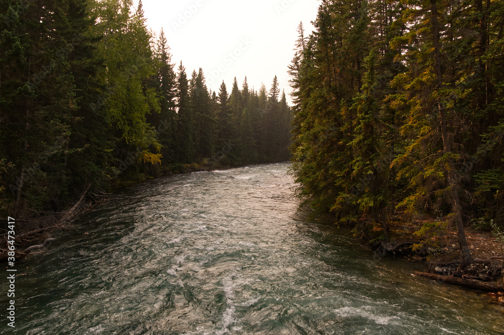 Fototapeta premium Maligne River near the Fifth Bridge