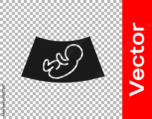 Black Ultrasound of baby icon isolated on transparent background. Fetus. Vector.