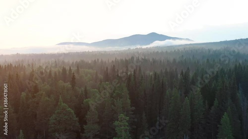 Forests and mountains of the Southern Urals near the village of Tyulyuk in Russia. Drone view. photo